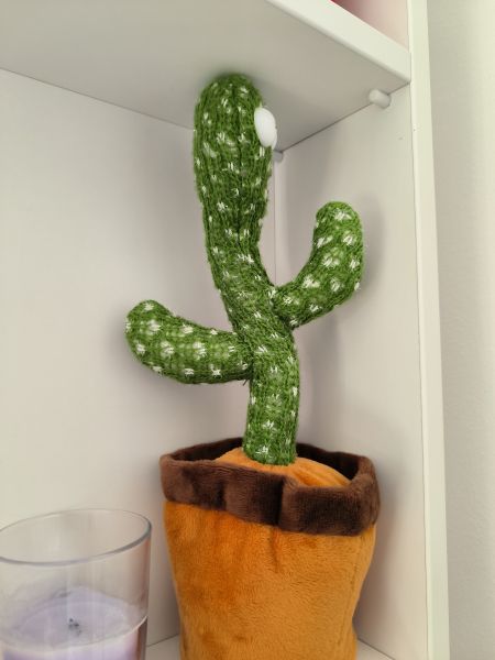 Cactus cantaret si proiector pentru nani